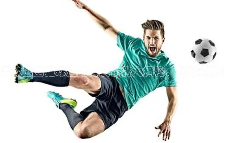 人人体育nba视觉中国