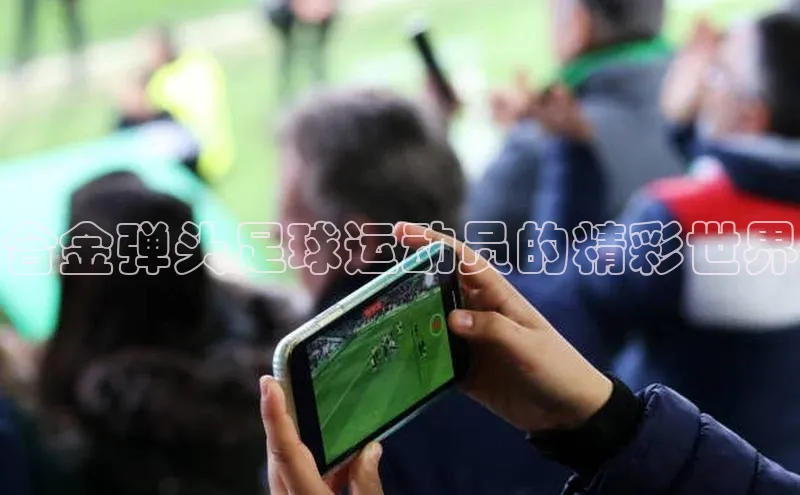 人人体育正版app下载普信公司