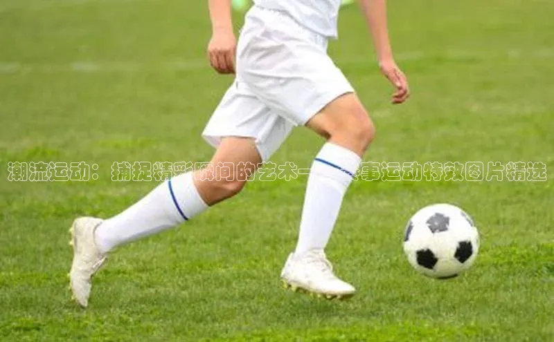 人人体育欧洲杯直播