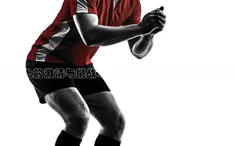 人人体育欧洲杯直播