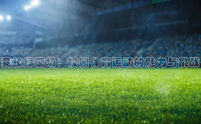 人人体育欧洲杯直播