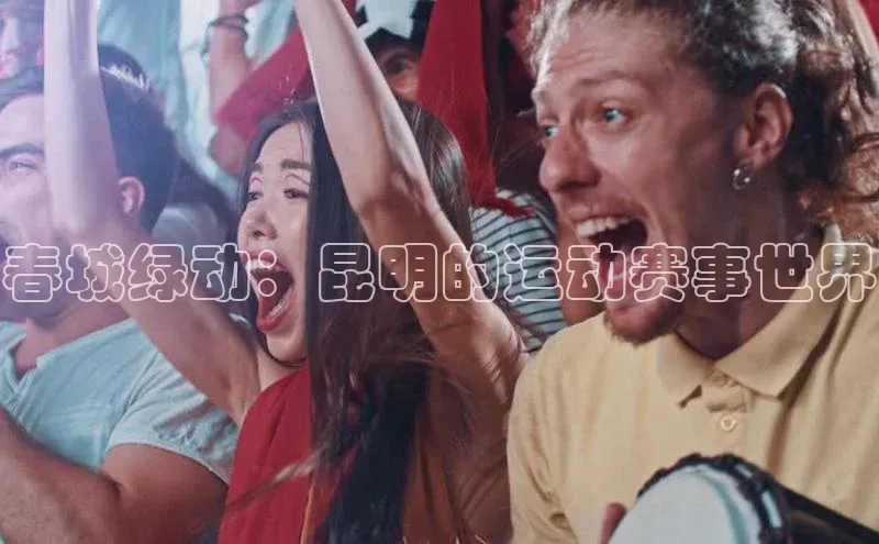 人人体育正版app下载